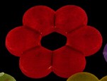 Бусина акрил Цветочек 54 матовый ронделька 16*15*2,35мм красный полупрозрачный (акрил) (10шт.)