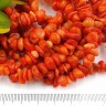 Крошка (галтовка) каменная 226 4-9мм Коралл рыжий натуральный (камни) (нить прим.80см) Купить Крошка (галтовка) каменная 226 4-9мм Коралл рыжий натуральный (камни) (нить прим.80см) с доставкой по России