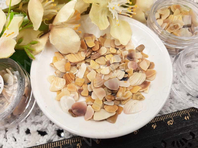 Наполнение для смолы и бутылочек 133 Крошка ракушек 2-10*1-2,5мм Bubis Crafts бежевая (декор)