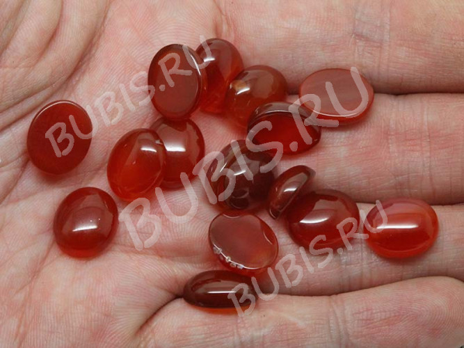 24555-kaboshon-agat-krasnyi-IMG_1824.JPG
