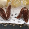 Купить Шапочка тонкая 091 простая 23 колокольчик винтажный Листики 23*23*16,5мм античная медь (LUX Китай) (Brass) с доставкой по России