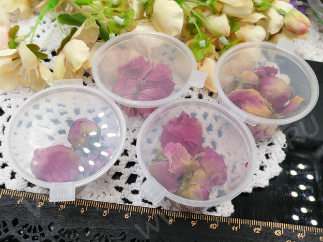 Сухие цветы 26 Бутоны Пиона в коробочке (натуральные цветы)