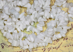 Крошка (галтовка) каменная 058 5-9мм белая непрозрачно-полупрозрачная (камни) (нить прим.45см)