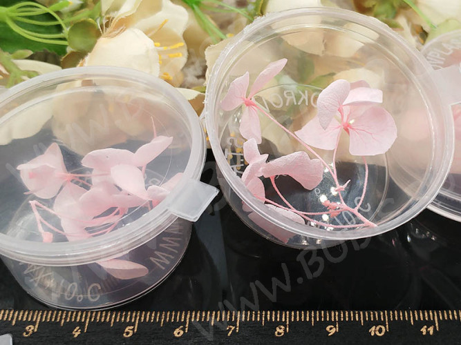 Сухие цветы 27 Гортензия 20мм стабилизированная розовая в коробочке (натуральные цветы)