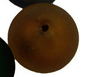 172 Бусина округлая  матовая с серебром внутри 12мм коричневая (венецианское стекло)