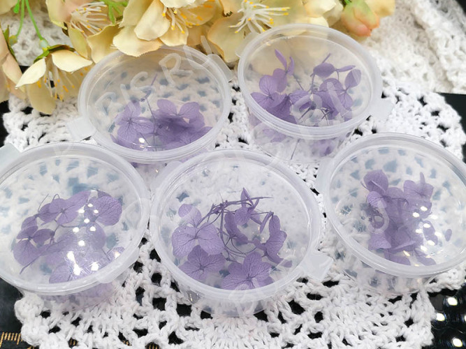 Сухие цветы 28 Гортензия 15мм стабилизированная светло-фиолетовая в коробочке (натуральные цветы)