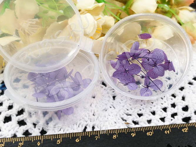 Сухие цветы 28 Гортензия 15мм стабилизированная светло-фиолетовая в коробочке (натуральные цветы)