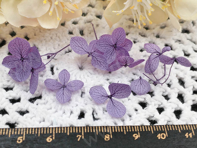 Сухие цветы 28 Гортензия 15мм стабилизированная светло-фиолетовая в коробочке (натуральные цветы)