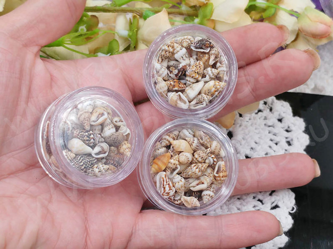 Наполнение для смолы и бутылочек 095 Ракушки маленькие 7-12*3-7мм Bubis Crafts бело-бежевые (декор) (50шт.)