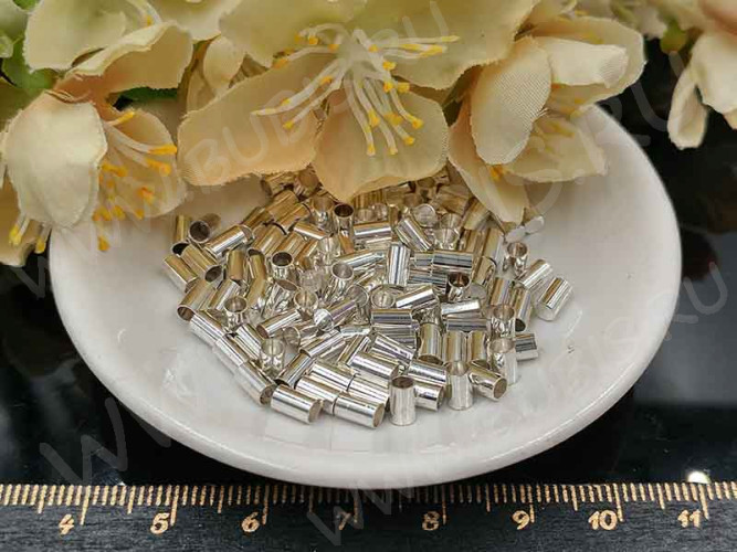 Концевик 104 без петельки для шнура до 2,4мм 5*3*3мм серебристый (Brass) (10шт)