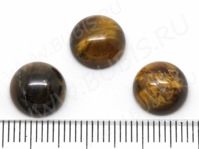 24593-kaboshon-tigrovyi-glaz-IMG_2074.JPG