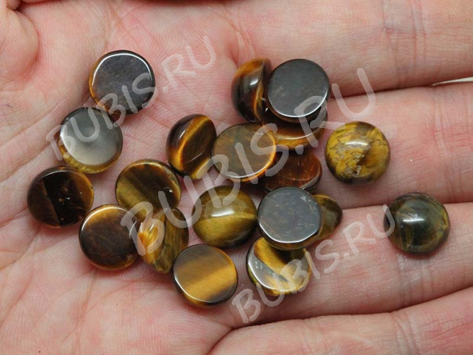 24595-kaboshon-tigrovyi-glaz-IMG_2082.JPG
