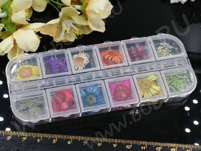 Сухие цветы 13 Яркие цветочки 1,0-1,8см комплект МИКС в контейнере (натуральные цветы) (ок. 24шт.)