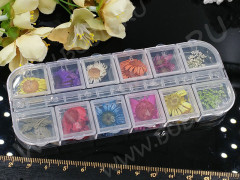 Сухие цветы 13 Яркие цветочки 1,0-1,8см комплект МИКС в контейнере (натуральные цветы) (ок. 24шт.)