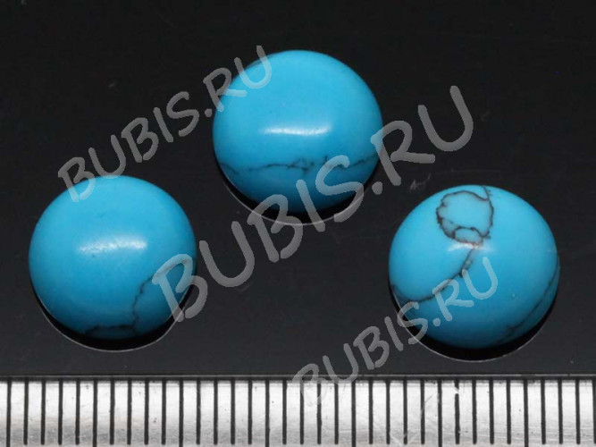 24597-kaboshon-biryuza-IMG_2212.JPG