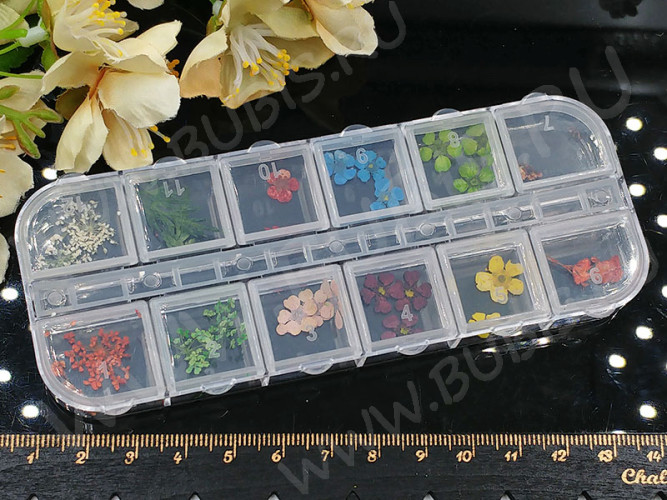 Сухие цветы 14 Яркие цветочки 0,3-1,2см комплект МИКС в контейнере (натуральные цветы) (ок. 24шт.)