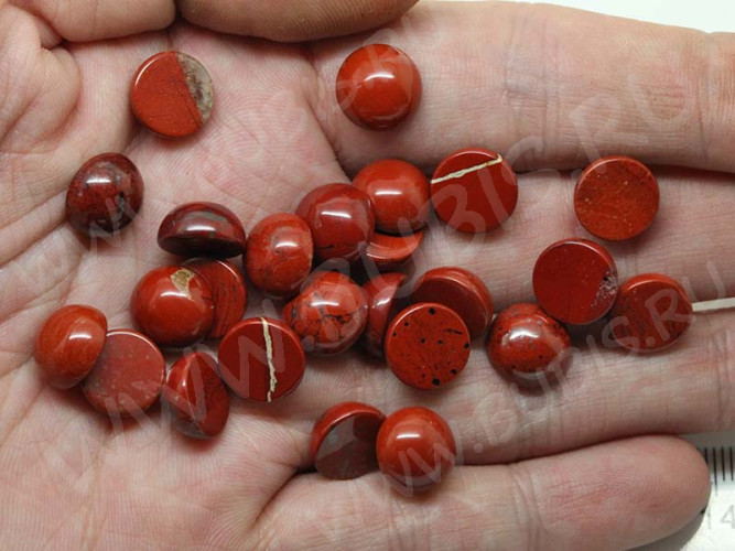 24602-kaboshon-yashma-krasnaya-IMG_2267.JPG