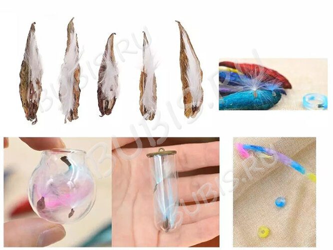 Сухие цветы 15 Парашютики в коконе (натуральные цветы)