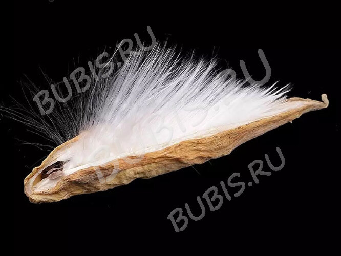 Сухие цветы 15 Парашютики в коконе (натуральные цветы)