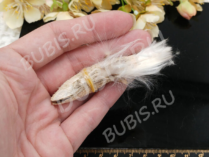 Сухие цветы 15 Парашютики в коконе (натуральные цветы)