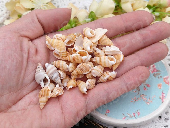 Наполнение для смолы и бутылочек 123 Ракушки 10-20*5-10мм Bubis Crafts бело-бежевые (декор) (30шт.)