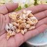 Наполнение для смолы и бутылочек 123 Ракушки 10-20*5-10мм Bubis Crafts бело-бежевые (декор) (30шт.) Купить Наполнение для смолы и бутылочек 123 Ракушки 10-20*5-10мм Bubis Crafts бело-бежевые (декор) (30шт.) с доставкой по России