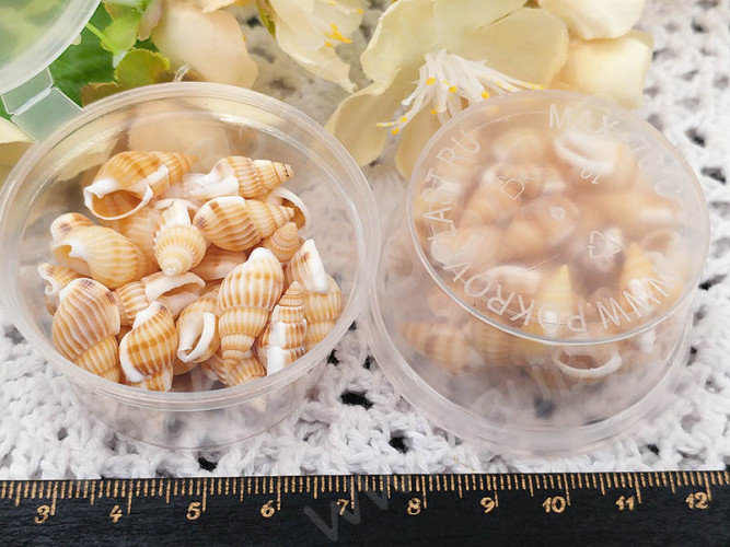 Наполнение для смолы и бутылочек 123 Ракушки 10-20*5-10мм Bubis Crafts бело-бежевые (декор) (30шт.)