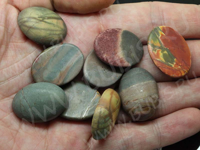 24630-kaboshon-yashma-picasso-IMG_2394.JPG