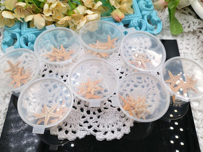 Наполнение для смолы и бутылочек 082 Морские звёзды микс прим.18-30мм натуральные (декор) (5шт.)