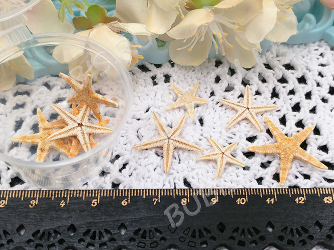 Наполнение для смолы и бутылочек 082 Морские звёзды микс прим.18-30мм натуральные (декор) (5шт.)