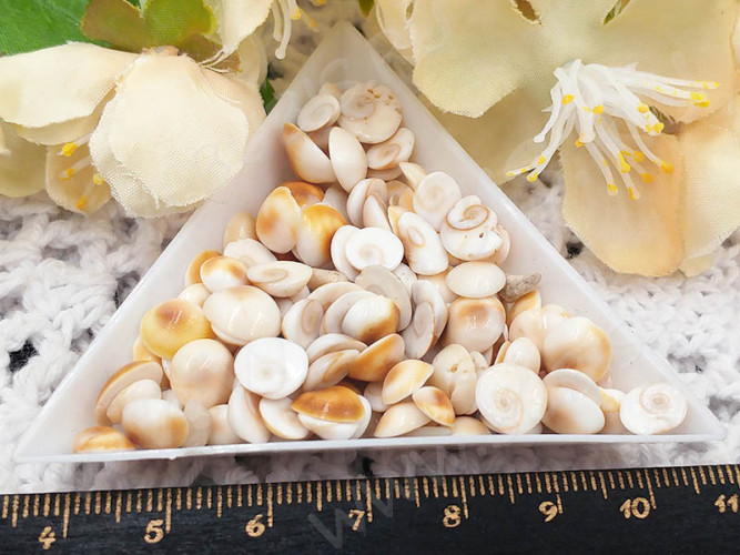 Наполнение для смолы и бутылочек 125 Ракушки маленькие округлые кабошоны 5-9*2-3,5мм Bubis Crafts бело-бежевые (декор) (50шт.)