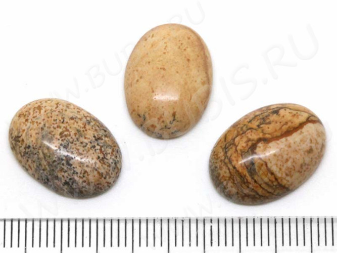 Кабошон каменный 068 Овал 18*13*5мм Яшма пейзажная (камни)