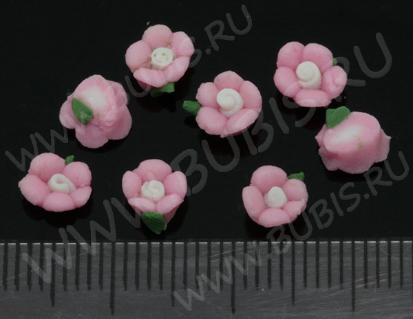 6302-kaboshon-cvetochek-IMG-9892.JPG