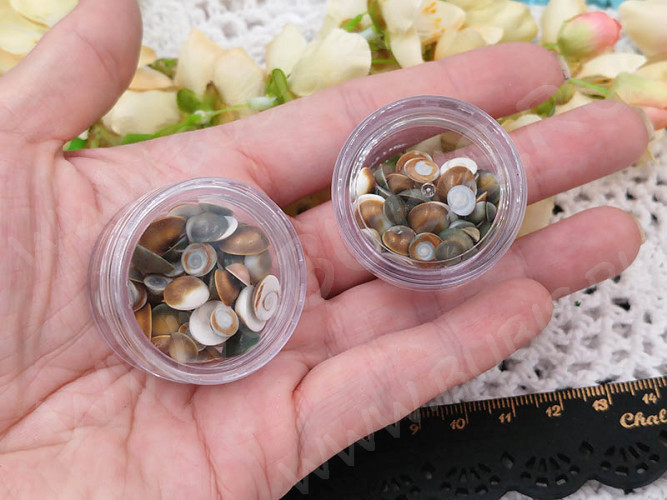 Наполнение для смолы и бутылочек 126 Ракушки маленькие округлые кабошоны 5-9*2-3,5мм Bubis Crafts серо-коричневые (декор) (50шт.)