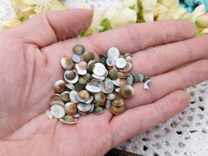 Наполнение для смолы и бутылочек 126 Ракушки маленькие округлые кабошоны 5-9*2-3,5мм Bubis Crafts серо-коричневые (декор) (50шт.)