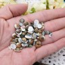 Наполнение для смолы и бутылочек 126 Ракушки маленькие округлые кабошоны 5-9*2-3,5мм Bubis Crafts серо-коричневые (декор) (50шт.) Купить Наполнение для смолы и бутылочек 126 Ракушки маленькие округлые кабошоны 5-9*2-3,5мм Bubis Crafts серо-коричневые (декор) (50шт.) с доставкой по России