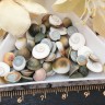 Наполнение для смолы и бутылочек 126 Ракушки маленькие округлые кабошоны 5-9*2-3,5мм Bubis Crafts серо-коричневые (декор) (50шт.) Купить Наполнение для смолы и бутылочек 126 Ракушки маленькие округлые кабошоны 5-9*2-3,5мм Bubis Crafts серо-коричневые (декор) (50шт.) с доставкой по России