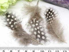 Перо №01 цесарки пятнистое 6-10см серо-коричневое (перья)