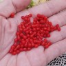 Бусина каменная Косточка 9,2*4*4мм Коралл т.красный натуральный (камни) (10шт.) Купить Бусина каменная Косточка 9,2*4*4мм Коралл т.красный натуральный (камни) (10шт.) с доставкой по России