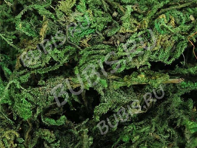 Сухие цветы 04 Мох зелёный в коробочке (натуральные цветы)