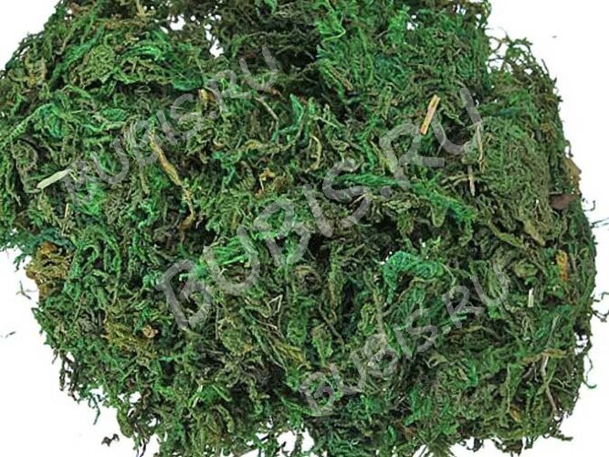 Сухие цветы 04 Мох зелёный в коробочке (натуральные цветы)