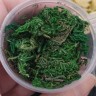 Сухие цветы 04 Мох зелёный в коробочке (натуральные цветы) Купить Сухие цветы 04 Мох зелёный в коробочке (натуральные цветы) с доставкой по России