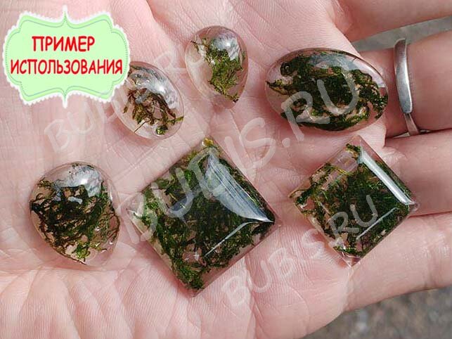 Сухие цветы 04 Мох зелёный в коробочке (натуральные цветы)