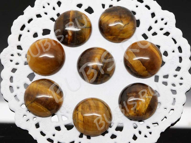 24655-kaboshon-tigrovyi-glaz-IMG_2656.JPG
