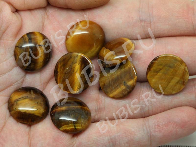 24656-kaboshon-tigrovyi-glaz-IMG_2645.JPG