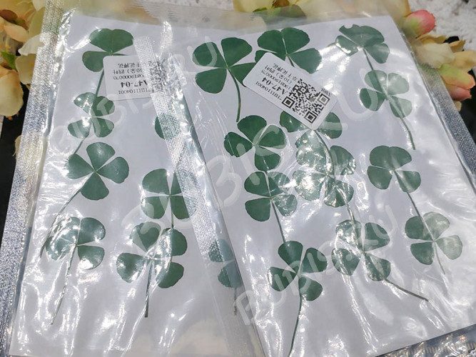 Сухие цветы 21 Четырёхлистники прессованные примерно 2-2,5см комплект на картоне (натуральные цветы) (12шт.)