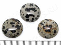 Кабошон каменный 075 Круг 18*18*6мм Яшма Далматин (камни)