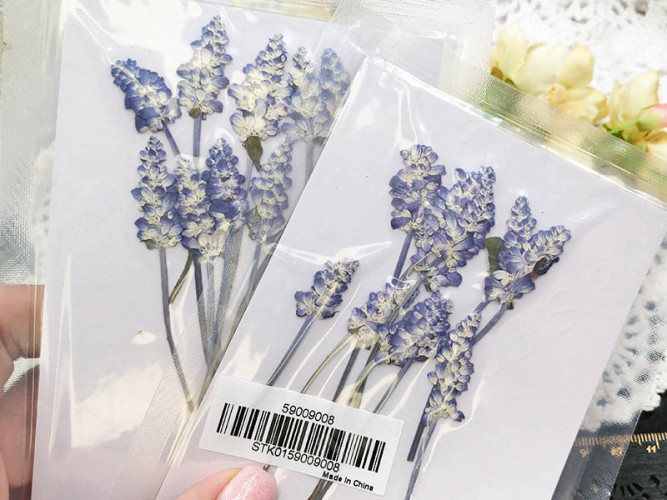 Сухие цветы 22 Шалфей прессованный примерно 6-10*1-1,5см комплект на картоне (натуральные цветы) (10шт.)