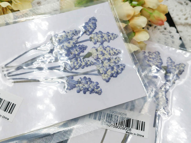 Сухие цветы 22 Шалфей прессованный примерно 6-10*1-1,5см комплект на картоне (натуральные цветы) (10шт.)