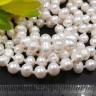(ОПТ) Бусина Жемчуг 27 пресноводный тыковки 7-8мм белый натуральный (камни) (нить 29-30см) Купить (ОПТ) Бусина Жемчуг 27 пресноводный тыковки 7-8мм белый натуральный (камни) (нить 29-30см) с доставкой по России